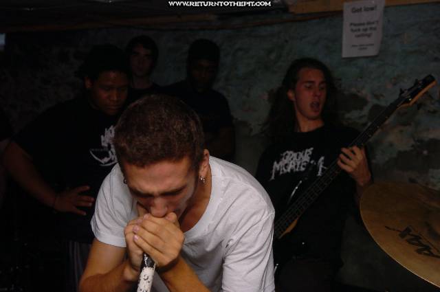 [animosity on Aug 27, 2005 at the Library (Allston, Ma)]