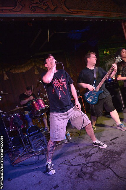 [boar corpse on Jun 27, 2013 at Ralph's (Worcester, MA)]