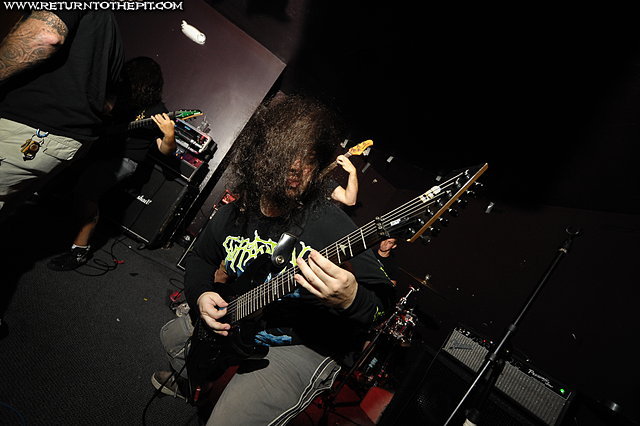 [parasitic extirpation on Sep 4, 2008 at O'Briens Pub (Allston, MA)]