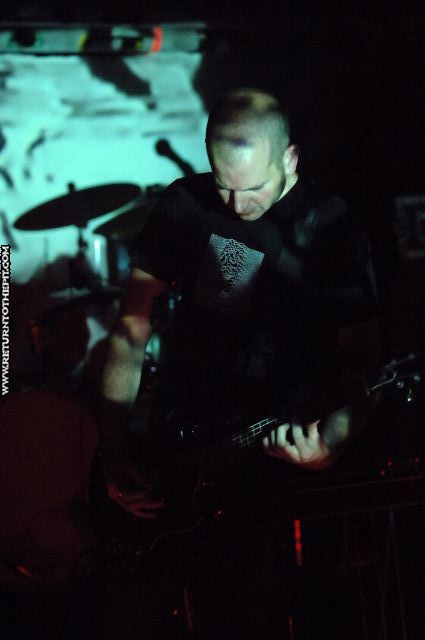 [red sparowes on Aug 17, 2006 at Middle East (Cambridge, Ma)]