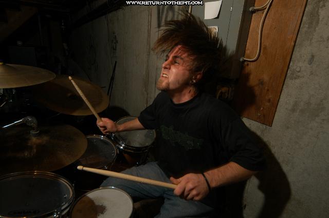 [the network on May 14, 2004 at the Dirty Basement (Dover, NH)]