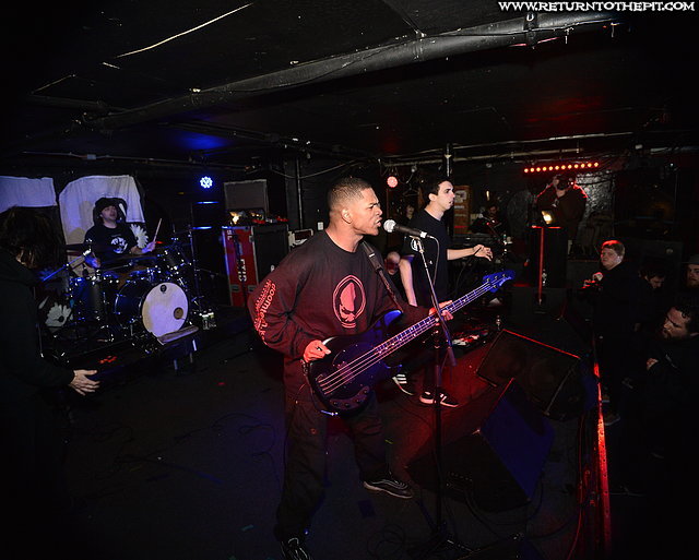 [vein on Dec 13, 2018 at Middle East (Cambridge, MA)]